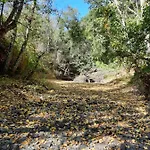 Alojamento de Turismo Rural Quinta Da Caída