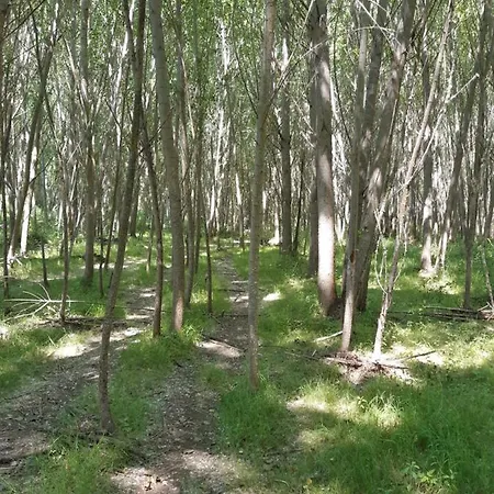 Quinta Da Caida *