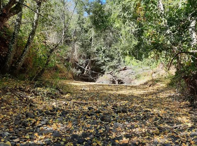 Feriegård Quinta Da Caida